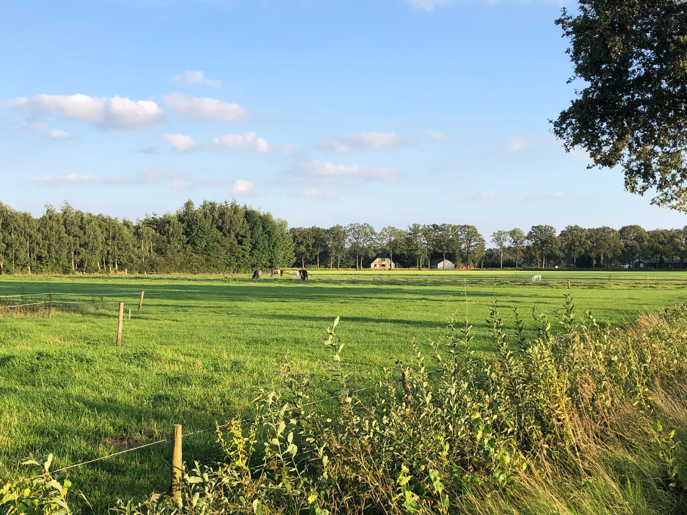 Oude Sluisweg 3-3a, 7478 RJ Diepenheim afbeelding 5