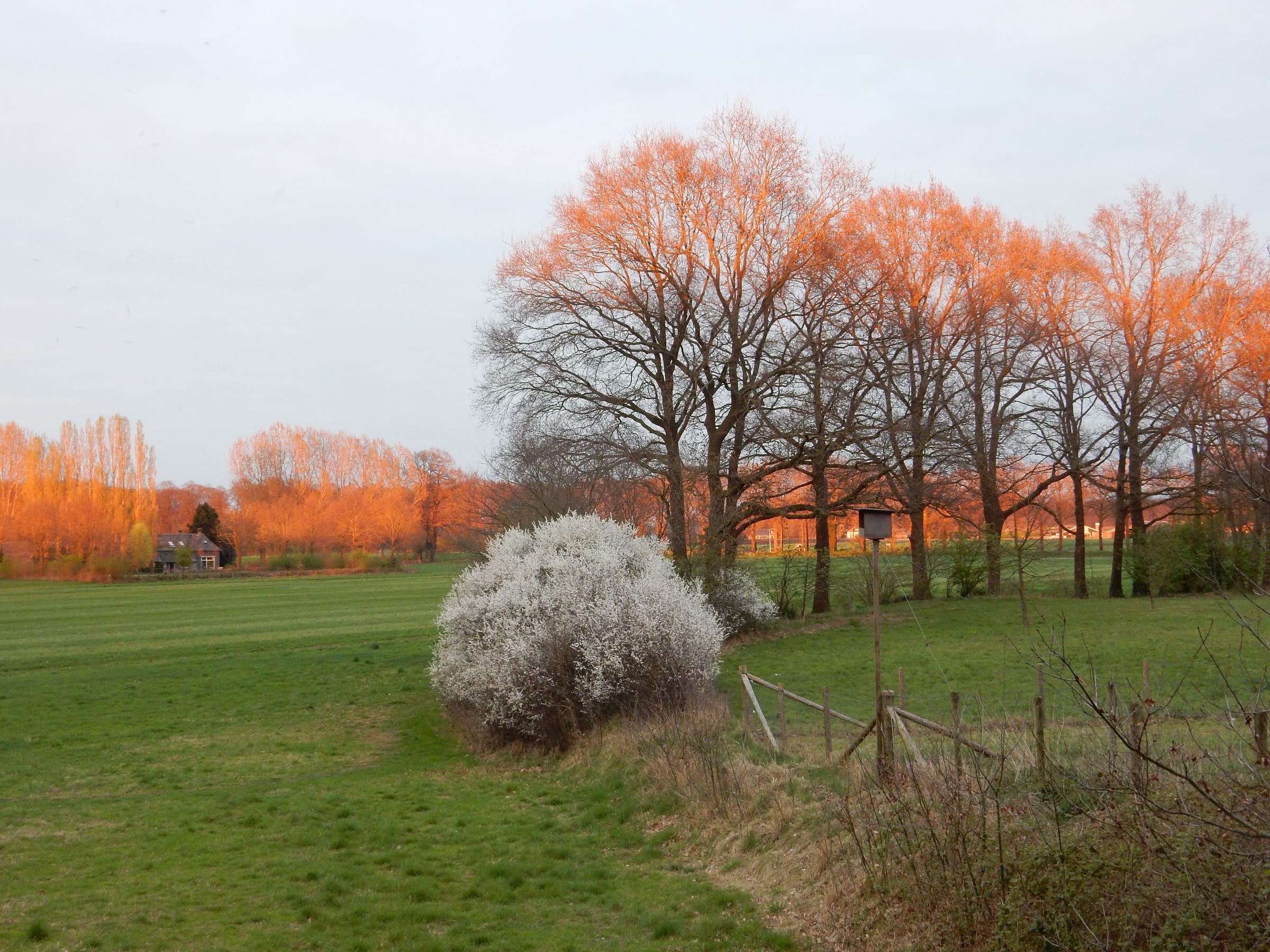Bakkersteeg 4, 7218 BN Almen afbeelding 33