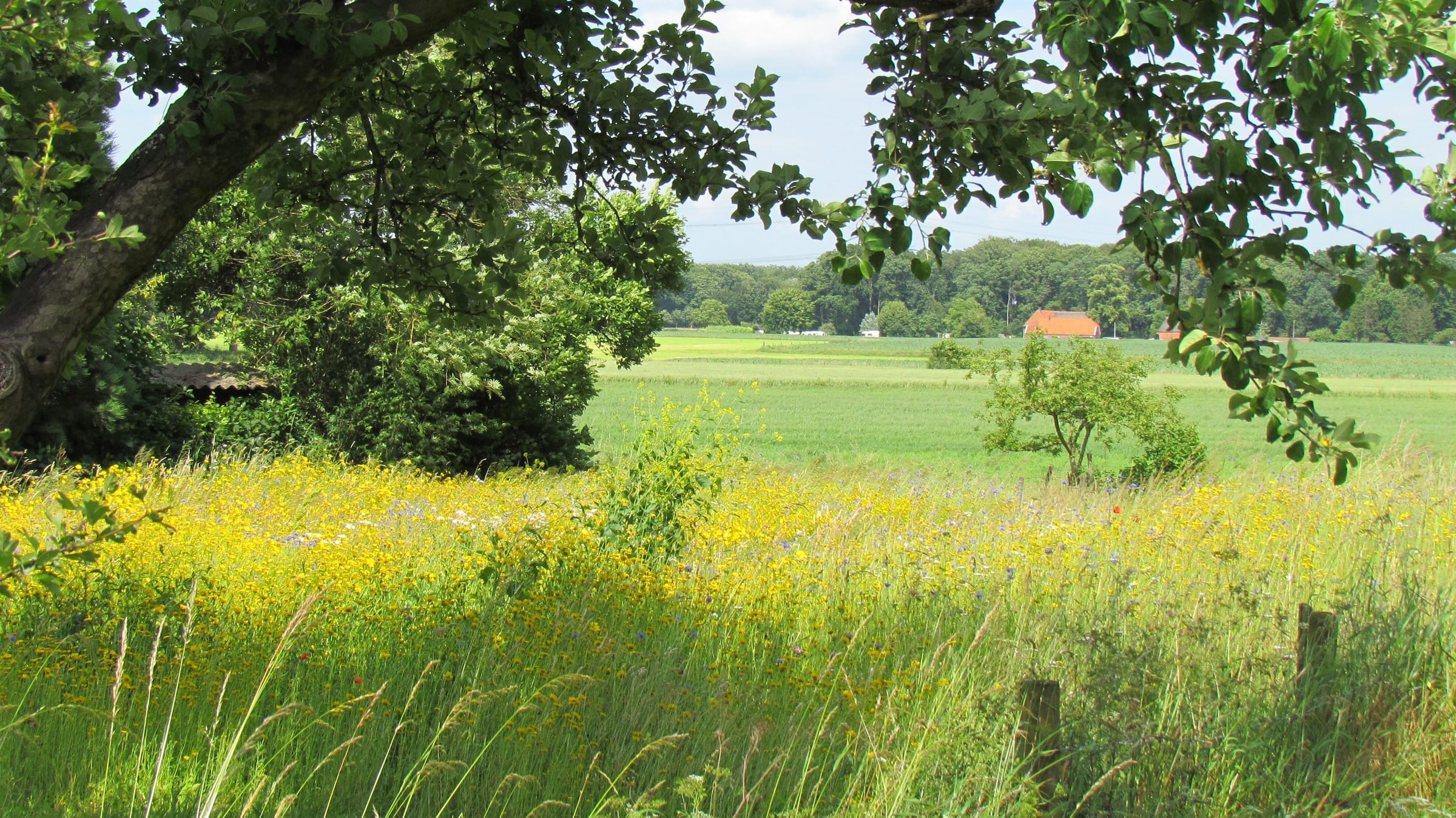 Bakkersteeg 4, 7218 BN Almen afbeelding 34