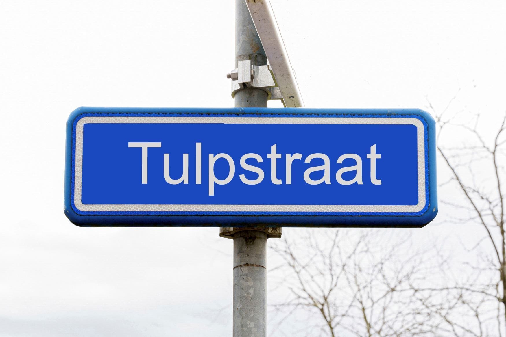 Tulpstraat 7, 8051 CV Hattem afbeelding 2
