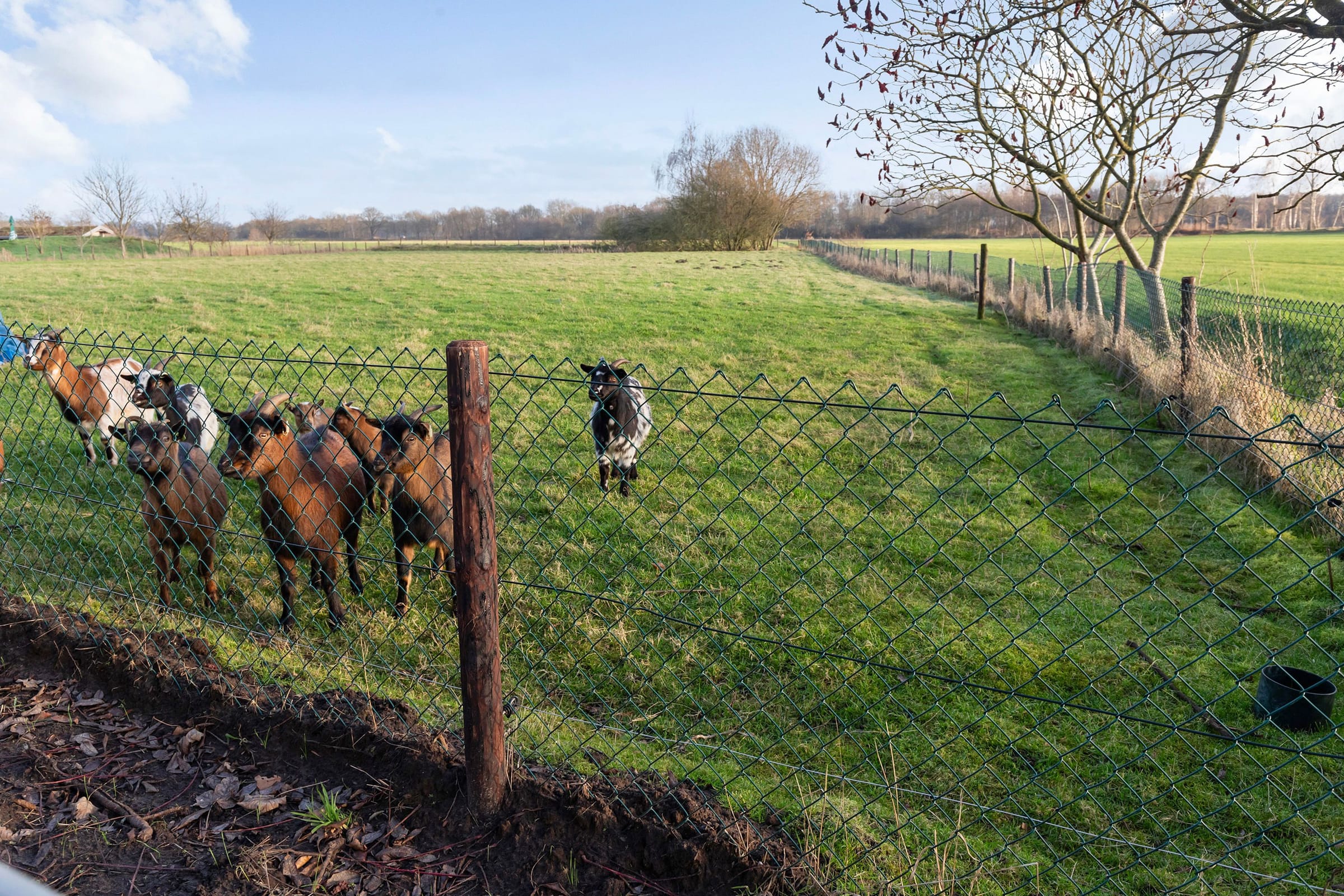 Oude Sluisweg 7, 7478 RJ Diepenheim afbeelding 4