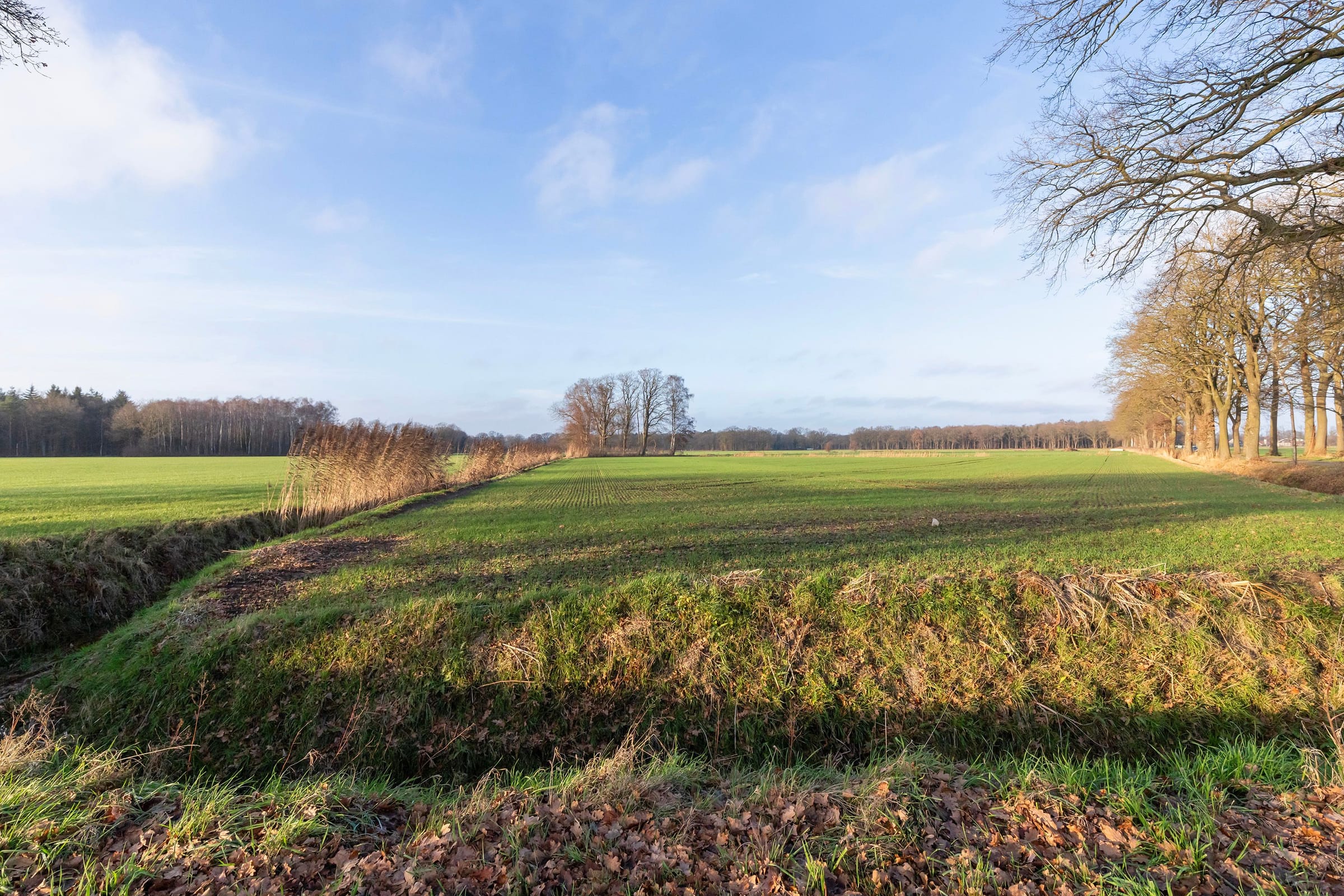 Oude Sluisweg 7, 7478 RJ Diepenheim afbeelding 56